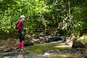 BIB: 
                            <button type="button" onclick="openModal(21850127)" class="btn btn-primary btn-sm float-right btn-popup" data-toggle="modal" data-target=".modal-high-quality">
                        <i class="fas fa-shopping-cart"></i> Add to Cart
                    </button>
                                            <button type="button" onclick="isThisMe(21850127, true)" class="btn btn-success btn-sm float-right btn-popup btn-isme hidden" data-toggle="tooltip" data-placement="bottom" title="นี่คือรูปของคุณใช่ไหม คลิกที่นี่เพื่อเอาเข้าอัลบั้ม">
                        <i class="fas fa-plus"></i> Add to album
                    </button>
                    <button type="button" onclick="isThisMe(21850127, false)" class="btn btn-warning btn-sm float-right btn-popup btn-isnotme hidden">
                        <i class="fas fa-ban"></i> Remove from album
                    </button>